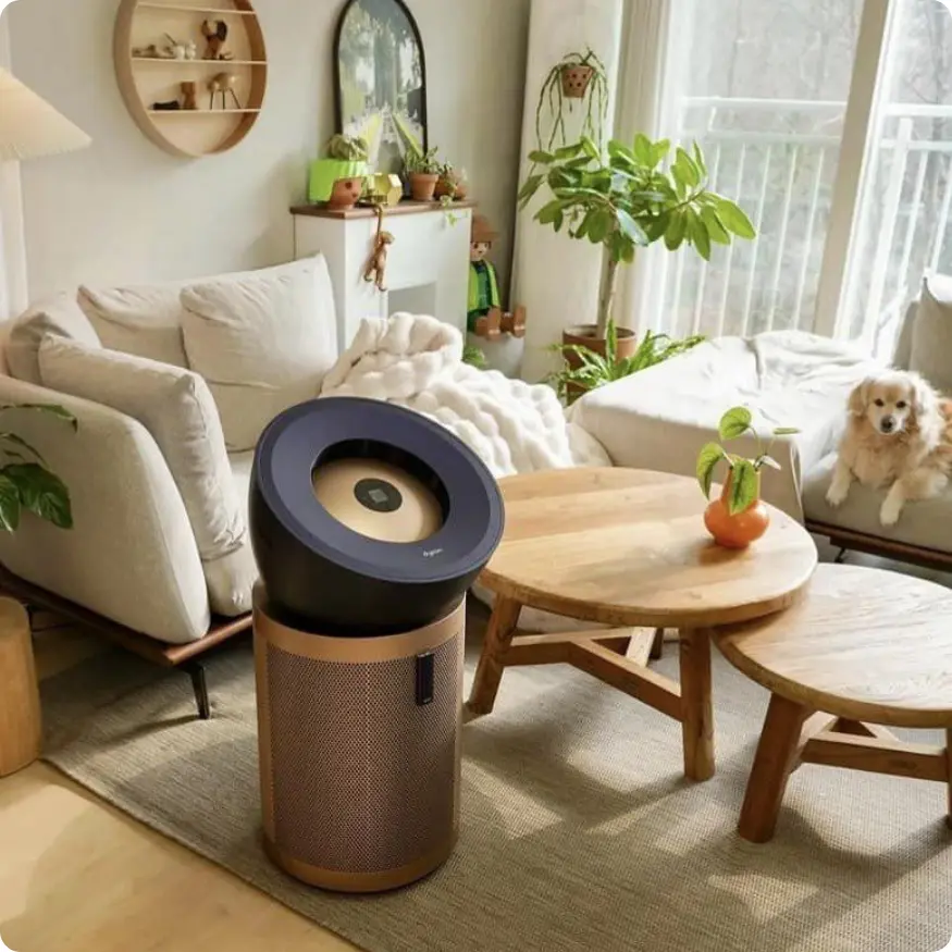 تصفیه هوا دایسون BP04 رزگلد سرمه ای - Image 8